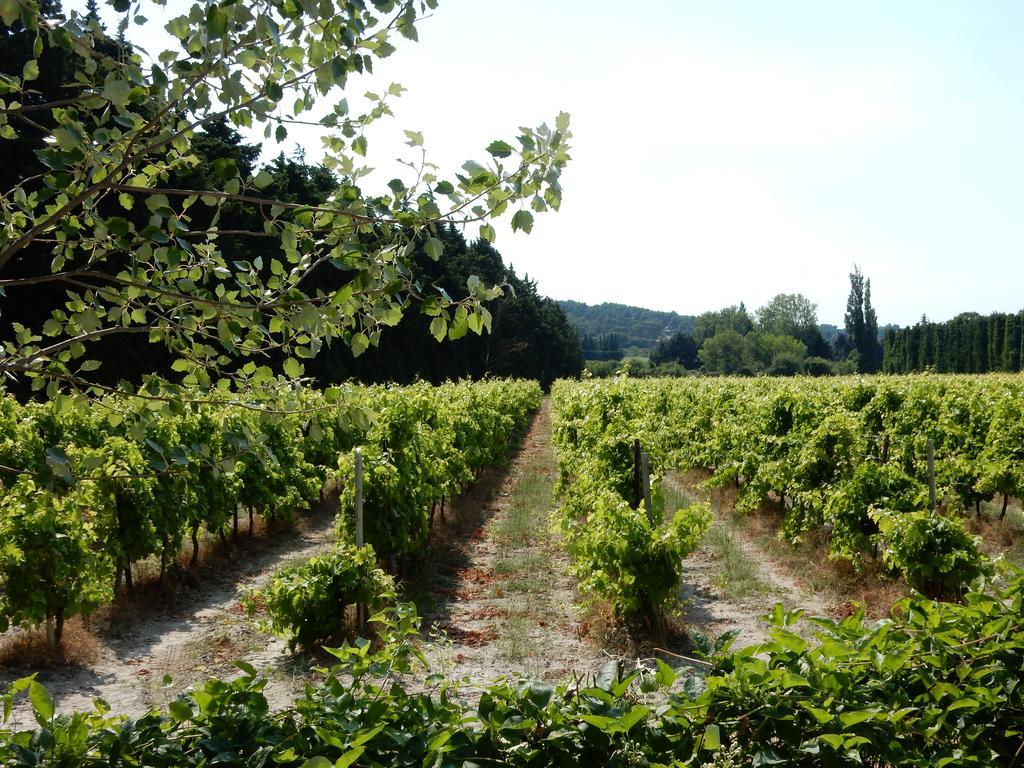 Отель Domaine De Blanche Fleur Chateauneuf-de-Gadagne Экстерьер фото